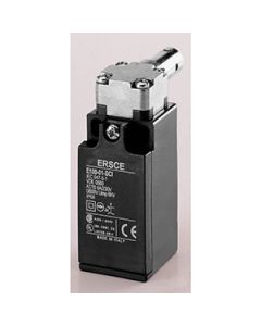 Hinge Actuated 1N/O & 1N/C slow action safety plastic body PG13.5